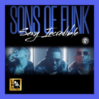 Sons Of Funk - Sexy Incredible