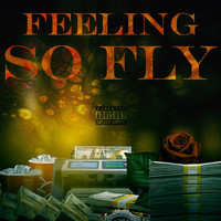 MileZ - Feeling so fly (Explicit)
