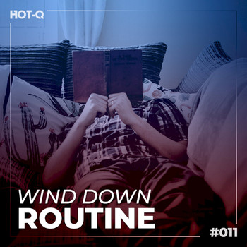 Various Artists - Wind Down Routine 011