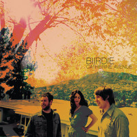 Biirdie - Catherine Avenue