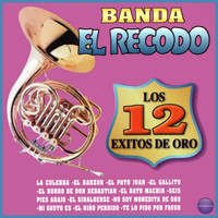 Banda El Recodo - Los 12 Éxitos de Oro