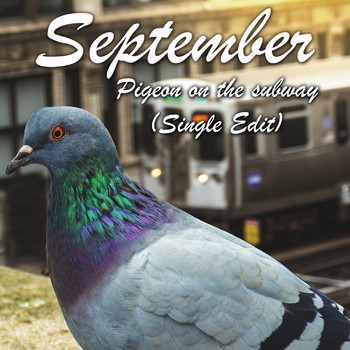 September - Pigeon on the subway (Single Edit)
