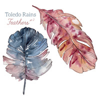 Toledo Rains - Feathers pt 2