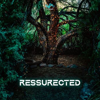 NS Records - Ressurected