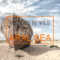 Hawk and the wild - Aral Sea