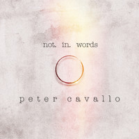 Peter Cavallo - Not In Words