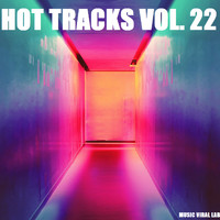 Tony Kairom, Toto La Momposina - Hot Tracks Vol. 22