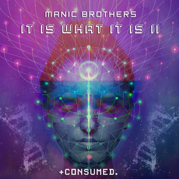 Manic Brothers - It Is What It Is II