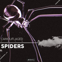 Camouflaged Cats - Spiders