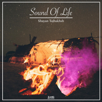 Shayan Tajbakhsh - Sound of Life