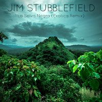 Jim Stubblefield - La Selva Negra (Exotica Remix)