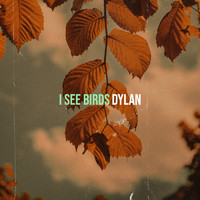 Dylan - I See Birds
