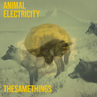 Animal Electricity - TheSameThings