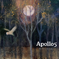 Apollo5 - The Owl