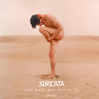 Suricata - The Only Way Out Is In