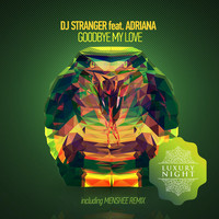 DJ Stranger - Goodbye My Love