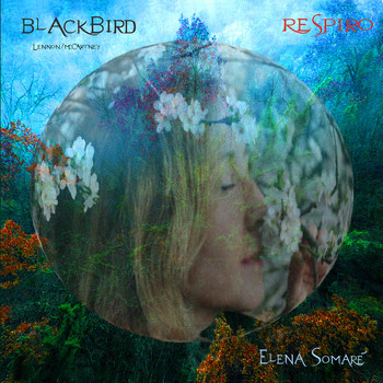 Elena Somarè - Blackbird