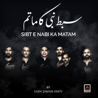 Shah Zaman Party - Sibt E Nabi Ka Matam
