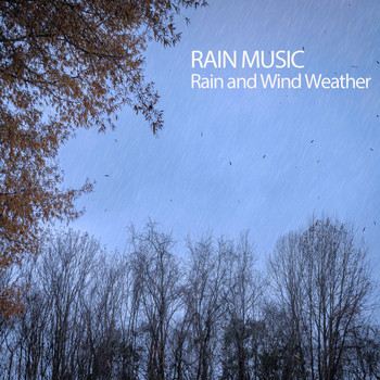 Native American Flute, Classical Piano Playlist, Meditation and Stress Relief Therapy - Rain Music: Rain and Wind Weather