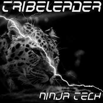 Tribeleader - NINJA TECH