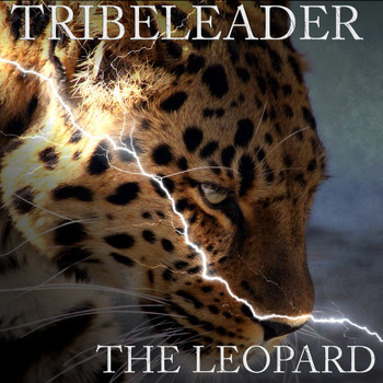 Tribeleader - THE LEOPARD