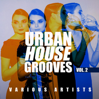Various Artists - Urban House Grooves, Vol. 2