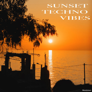 Various Artists - Sunset Techno Vibes