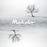 Maitreya - Mediator