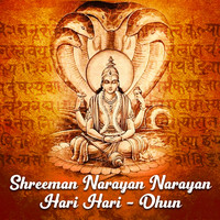 Devi - Shreeman Narayan Narayan Hari Hari - Dhun