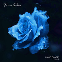 Piano Peace - Idol (BTS Piano Version)
