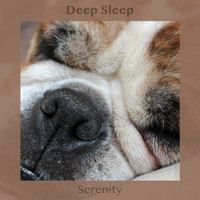 Deep Sleep - Serenity