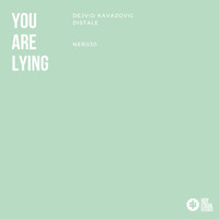 Dejvid Kavazovic & Distale - You Are Lying