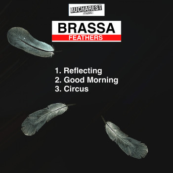 Brassa - Feathers
