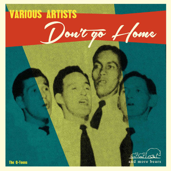 Various Artists - Don't Go Home