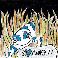 Ala - Salamander 77
