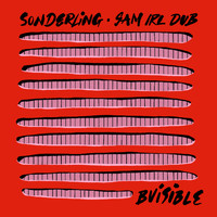 B.Visible, Sam Irl - Sonderling