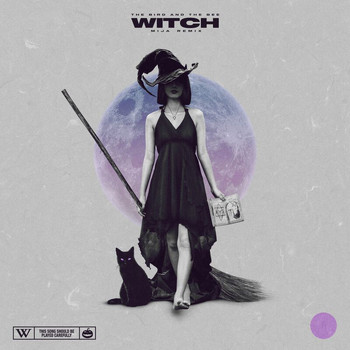 the bird and the bee - Witch (Mija Remix)