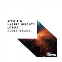 Lobos & Sted-E & Hybrid Heights - House Feeling