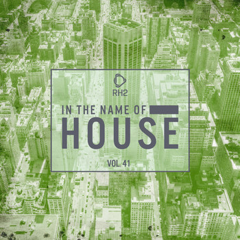 Various Artists - In the Name of House, Vol. 41
