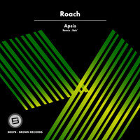 Roach - Apsis