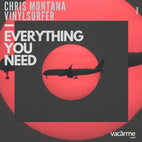 Chris Montana, Vinylsurfer - Everything You Need