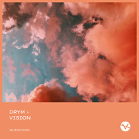 DRYM - Vision