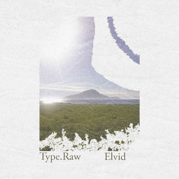 Type.Raw - Elvid