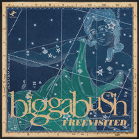 BiggaBush - Freevisited