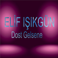 Elif Işıkgün - Dost Gelsene