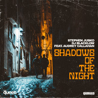 Stephen Jusko & DJ Blacklow feat. Audrey Callahan - Shadows of the Night