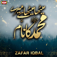Zafar Iqbal - Meetha Meetha Hai Mere Muhammad Ka Naam