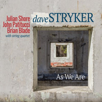 Dave Stryker - Lanes (feat. Brian Blade)
