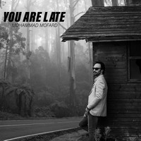 Mohammad Mofrad - You Are Late
