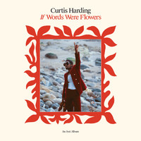 Curtis Harding - If Words Were Flowers (Explicit)